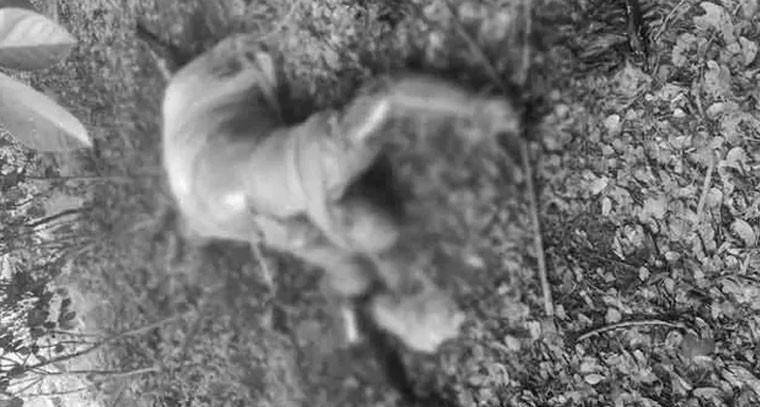 ఎఫైర్.. అడవిలోకి తీసుకెళ్లి మహిళ దారుణ హత్య