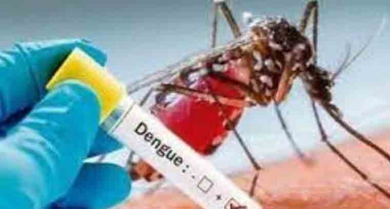 సింగిల్ డోస్ డెంగీ వ్యాక్సిన్‌ కనిపెట్టిన బ్రెజిల్ 
