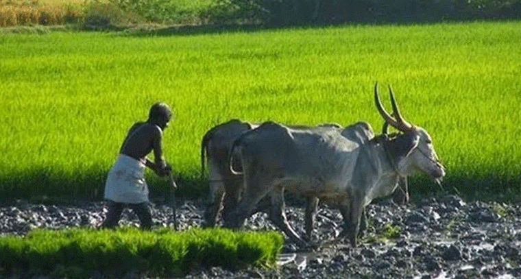 ధరణి పోర్టల్ గడువు పొడిగింపు