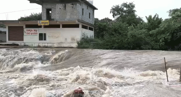ఉధృతంగా ప్రవహిస్తున్న మంజీరా వరద