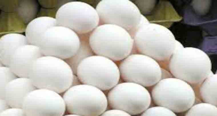 రోజురోజుకి పెరిగిపోతున్న కోడిగుడ్డు ధరలు 
