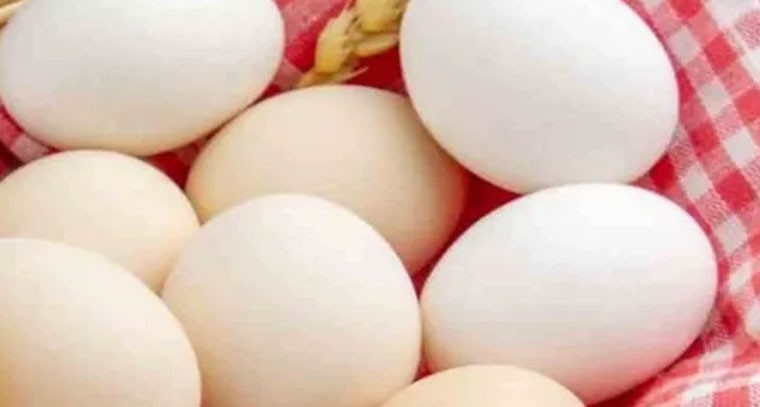 ఇరాన్-ఇజ్రాయెల్ ఘర్షణతో తెలంగాణలో గుడ్ల ధరలు పతనం