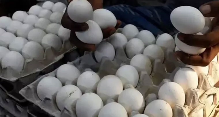 సామాన్యులకు గుడ్ న్యూస్.. భారీగా పడిపోయిన కోడి గుడ్ల ధరలు