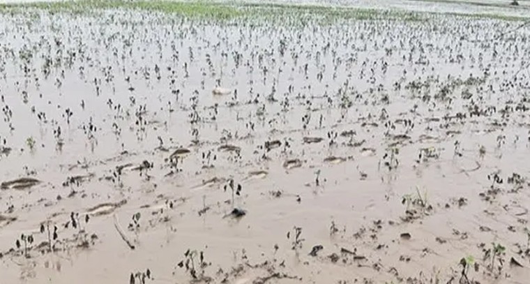 రైతులకు గుడ్ న్యూస్.. పొలం పనులకు ఉపాధి హామీ పథకం అనుసంధానం