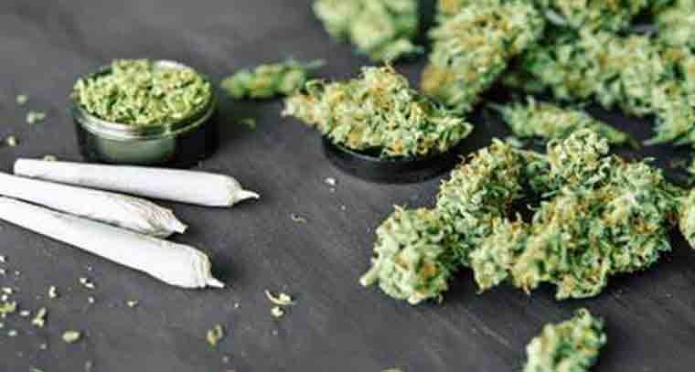 రూ. 12 కోట్ల విలువైన గంజాయి స్వాధీనం
