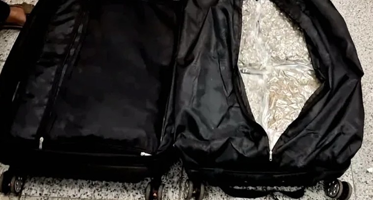 శంషాబాద్ ఎయిర్‌పోర్టులో రూ 14 కోట్ల గంజాయి పట్టివేత