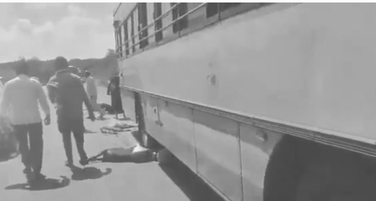 రోడ్డుపై దూసుకెళ్లిన ఆర్టీసీ బస్సు, 15 గొర్రెలు మృతి