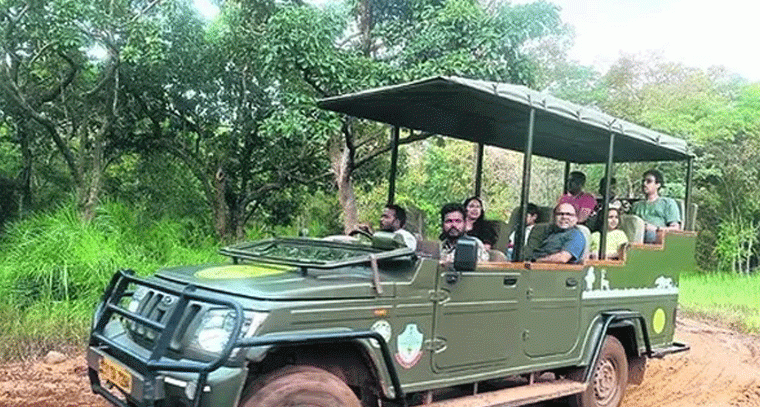 ప్రకృతి ప్రేమికులకు గుడ్‌ న్యూస్.. నల్లమల టైగర్ సఫారీ షురూ