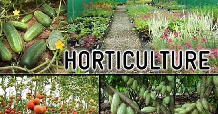 సేంద్రియ సాగుపై అవగాహనా కలిగివుండాలి 
