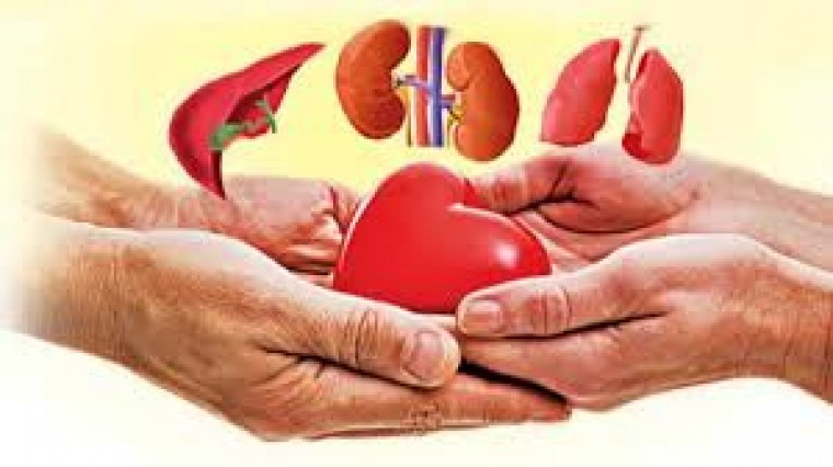 అవయవదానంలో తెలంగాణ రాష్ట్రం మరోసారి తన అగ్రస్థానాన్ని నిలబెట్టుకుంది