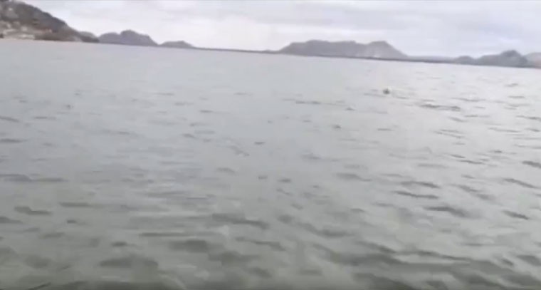 జలకళ సంతరించుకున్న కోయిల్ సాగర్ ప్రాజెక్టు