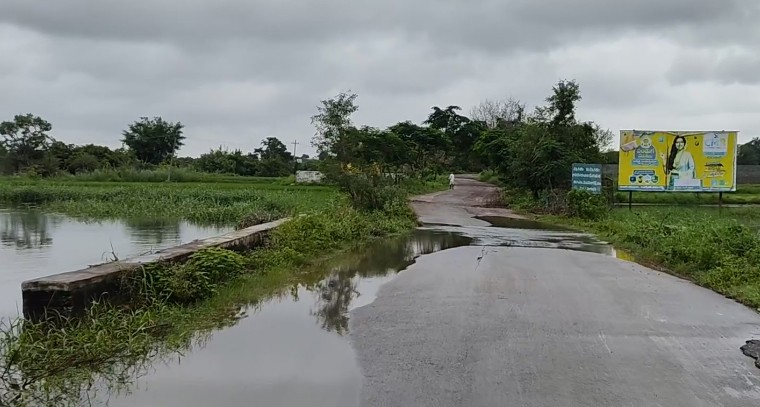 జంగంపేట జన్నారం రహదారి పై ముళ్ళకంప తొలగింపు