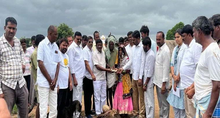 గొర్రెల మందపై కుక్కలు దాడి.. 30 గొర్రెలు మృతి