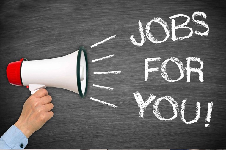 తెలంగాణ ఫోరెన్సిక్ సైన్స్ ల్యాబ్‌లో ఉద్యోగ అవకాశాలు.. 60 పోస్టులకు నోటిఫికేషన్ విడుదల

