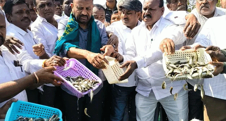 జుక్కల్ ఎమ్మెల్యే తోట లక్ష్మీకాంతరావు చేతుల మీదుగా చేప పిల్లల విడుదల