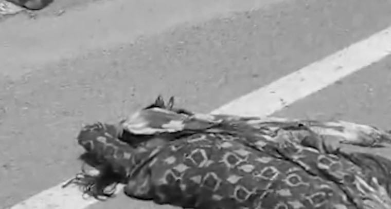 రోడ్డు ప్రమాదంలో నవ వధువు మృతి