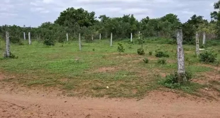 అక్రమ అంజనా.. లే అవుట్ వెనుక భారీ స్కామ్