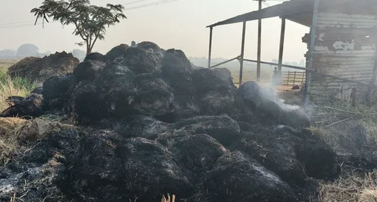 గడ్డివాము దగ్ధం ఘటనపై కఠిన చర్యలు తీసుకోవాలి – రైతుల ఆగ్రహం