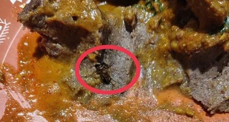 రాగి ముద్దలో బొద్దింక ప్రత్యక్షం