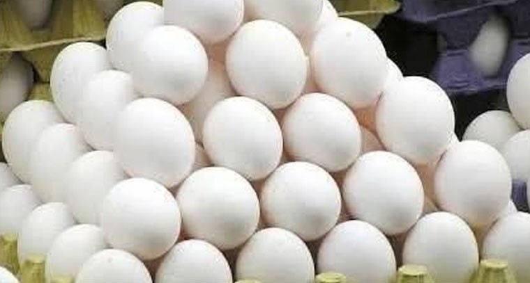 సగానికి పైగా రేట్లు తగ్గిన కోడి గుడ్లు...