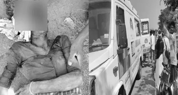 పిచ్చికుక్క బీభత్సం.. ఇద్దరిపై దాడి, పశువులకు గాయాలు