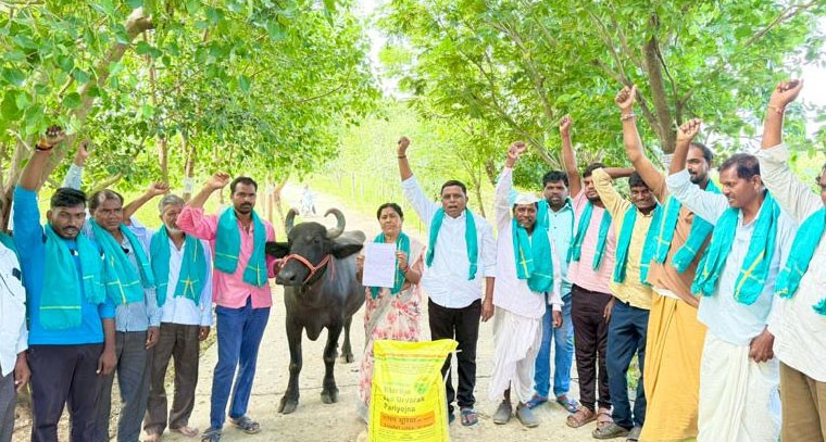 యూరియా కోసం దున్నపోతుతో రైతుల వినూత్న నిరసన