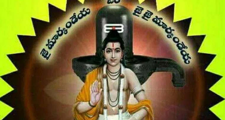 మార్కండేయ మహర్షి జయంతి: పద్మశాలిపురంలో ప్రత్యేక పూజలు