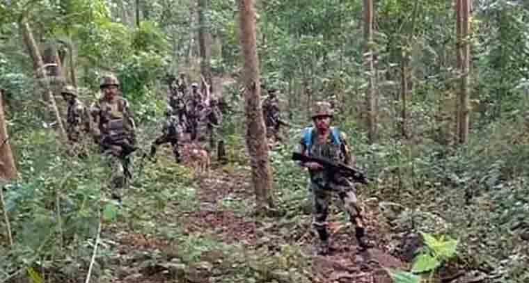 భద్రతా దళాల కాల్పుల్లో 15మంది మావోయిస్టులు మృతి 
