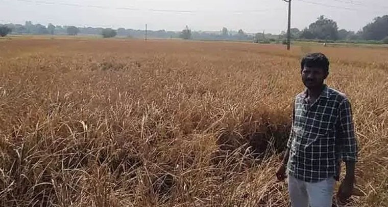  అన్నదాతల అవస్థలు.. కూలీల కోసం కష్టాలు