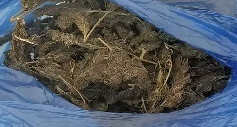 మునిపల్లిలో ఎండు గంజాయి స్వాధీనం.. ఒకరి అరెస్ట్