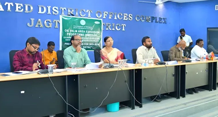 ఆయిల్ పామ్ సాగు పెంపుకు ప్రణాళికలు సిద్ధం చేయాలి