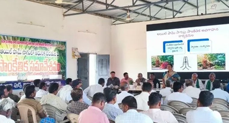 ఆయిల్‌పామ్‌ తో అధిక లాభాలు