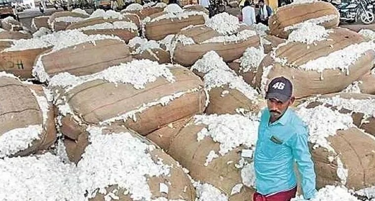 ​లక్ష్మీపురం సీసీఐ కేంద్రంలో అక్రమాల పర్వం!