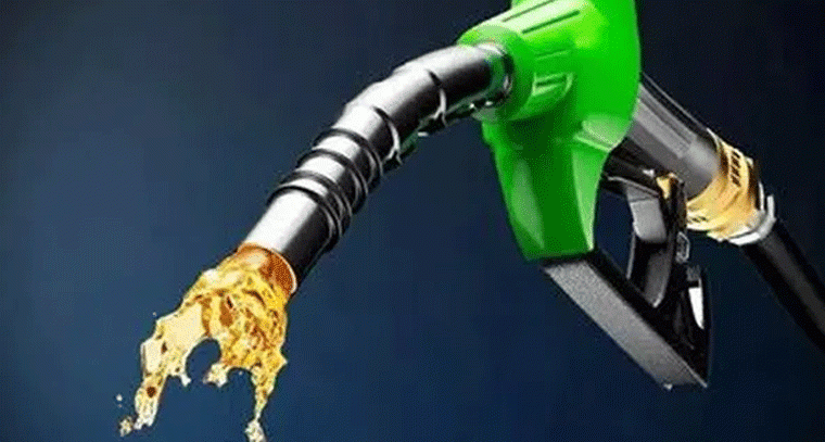 తెలంగాణలో పెట్రోల్, డీజిల్, LPG కొరత లేదు: ప్రభుత్వం