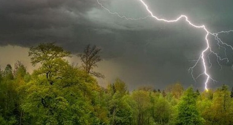 రాష్ట్రంలో పిడుగుపాటుకు ఐదుగురు మృతి
