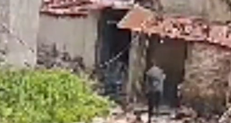 పట్టపగలే వృద్ధురాలు మెడలో పుస్తెలతాడు చోరీ