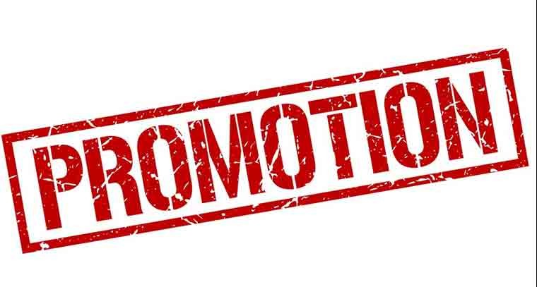 భారీ ఎత్తున రాష్ట్రంలో  డిప్యూటీ కలెక్టర్లకు పదోన్నతులు 
