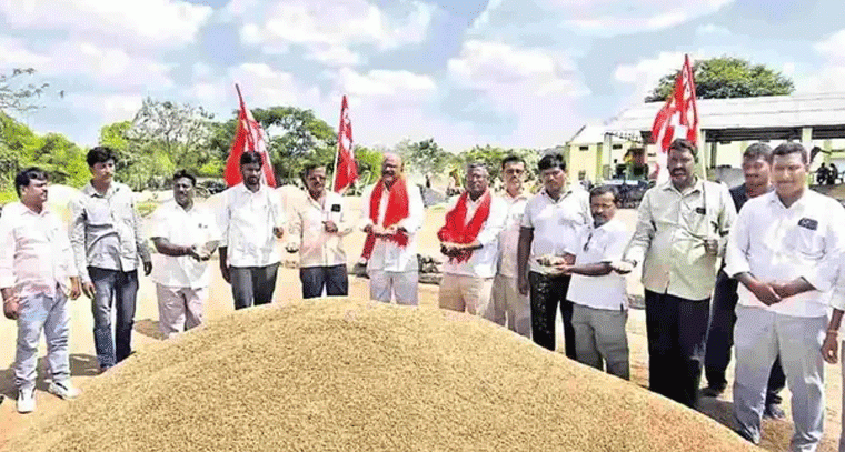రంగు మారిన ధాన్యాన్ని కొనుగోలు చేయాలి