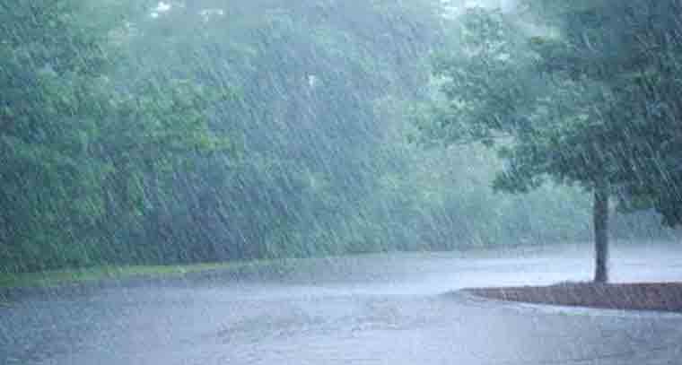 మనాలిలో భారీగా కురుస్తున్న మంచు 
