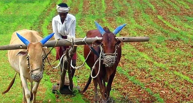 ఫిబ్రవరి చివరి వారంలో రైతు భరోసా నిధులు
