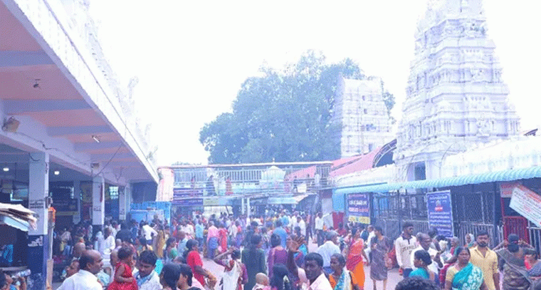  రాజన్న గుడిలో భక్తుల సందడి