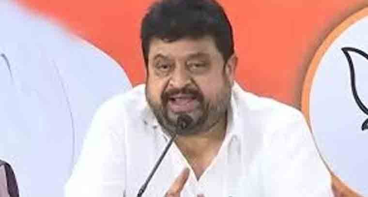 బీజేపీని అధికారంలోకి తీసుకురావడమే లక్ష్యంగా పనిచేస్తా 
