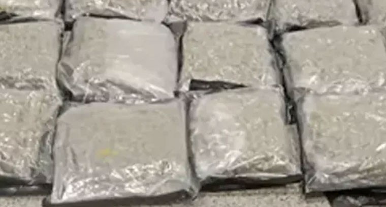 శంషాబాద్‌లో భారీగా గంజాయి పట్టివేత