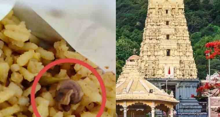 సింహాచలం ఆలయ ప్రసాదంలో నత్త, స్పందించిన అధికారులు 