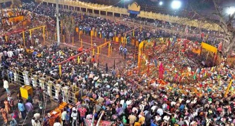 సమ్మక్క సారలమ్మ జాతర - మేడారం గ్రామం