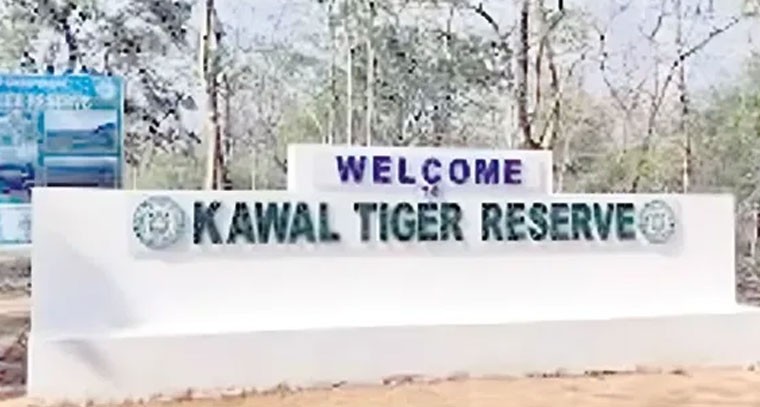 టైగర్ జోన్ అడ్డంకితో ఆగిపోయిన ఇందిరమ్మ ఇళ్లు