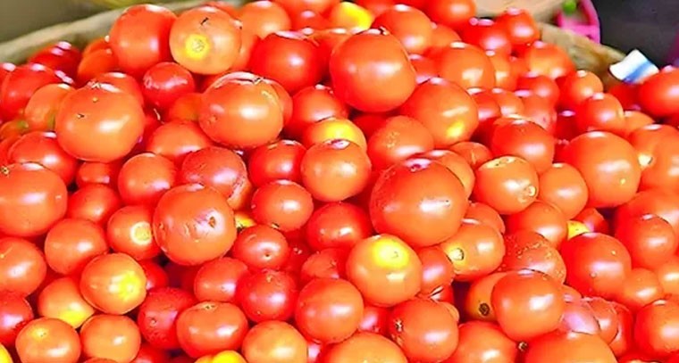 వారం రోజుల్లో టమాటా ధర రెట్టింపు