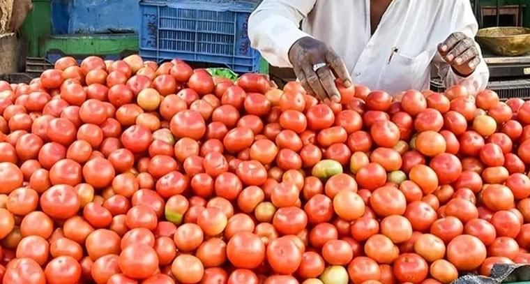 క్రమంగా పెరుగుతున్న టమాటా ధరలు