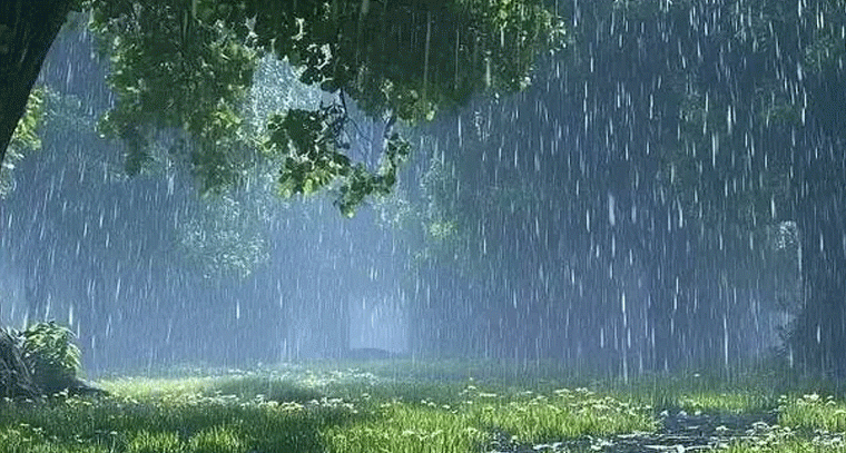 తెలంగాణలోని మూడు జిల్లాల్లో స్కూళ్లకు సెలవు