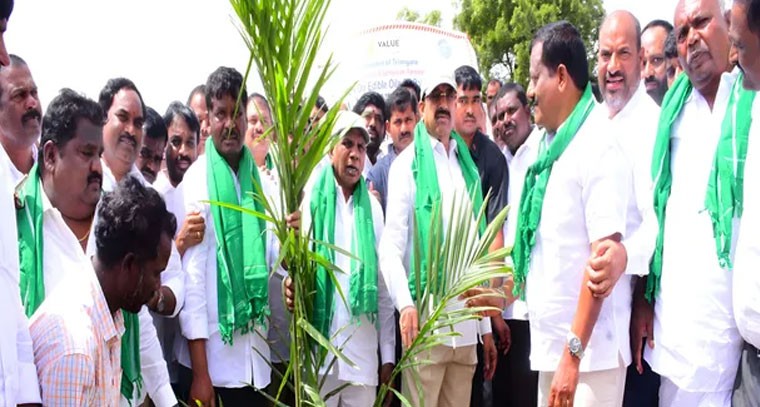  ఫామ్ ఆయిల్ పంటల వల్ల అధిక లాభాలు: తుమ్మల